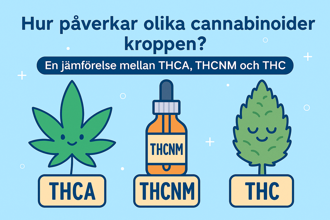 Hur påverkar olika cannabinoider kroppen? En jämförelse mellan THCA, THCNM och THC