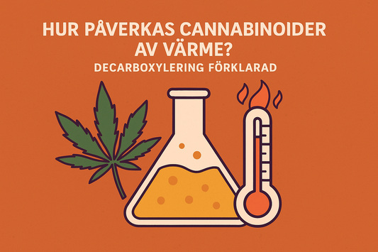 Hur påverkas cannabinoider av värme? Decarboxylering förklarad