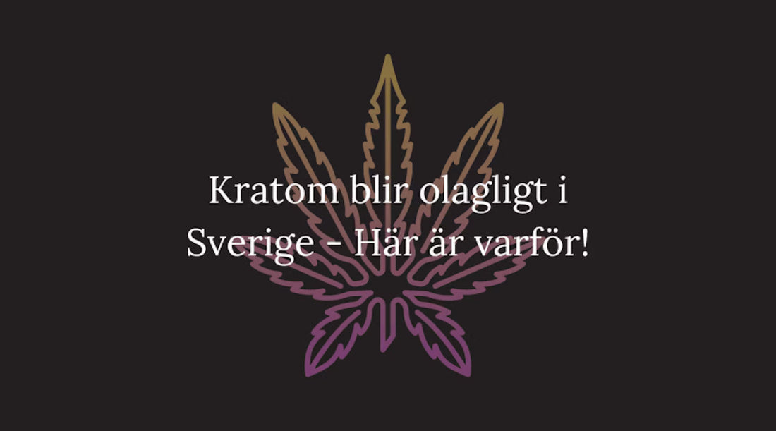 Kratom blir olagligt i Sverige – Här är varför!