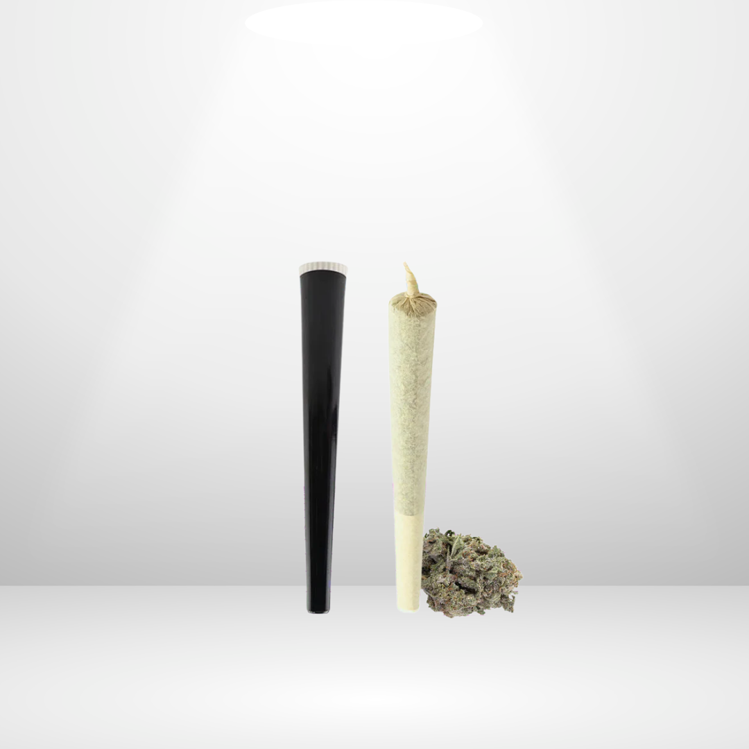 En svart tub och en Partybolaget Pre-rolls THCA - Bangkok Sativa 22% 1g står upprätt sida vid sida, med THCA-knoppar vid basen, allt mot en vit bakgrund som framhävs av en spotlight.