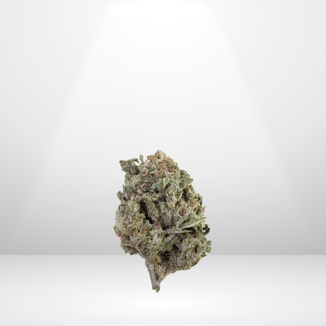 En enda THCA Buds - Bangkok Buddha Sativa 22% från Partybolaget, tillverkad av EU-industriell hampa, visas under en strålkastare på en vit bakgrund, vilket betonar dess livfulla gröna och orange färger och invecklade struktur.