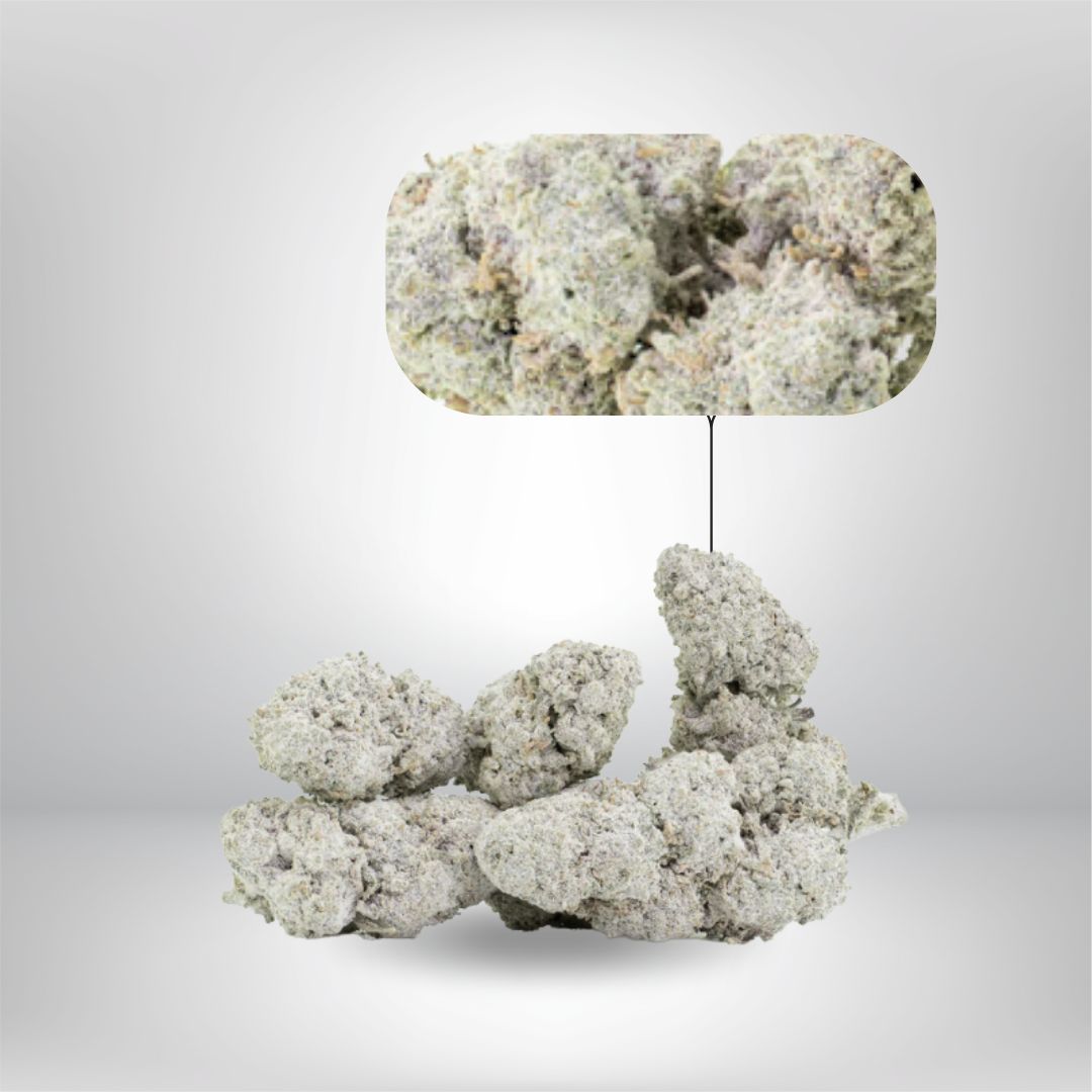 Flera täta, ljusgröna och frostiga Partybolaget Sapphire OG THCA 5g 23% knoppar är ordnade på en sömlös bakgrund, med en förstorad bubbla som belyser den detaljerade, trikomrika ytan på dessa potenta cannabisblommor.