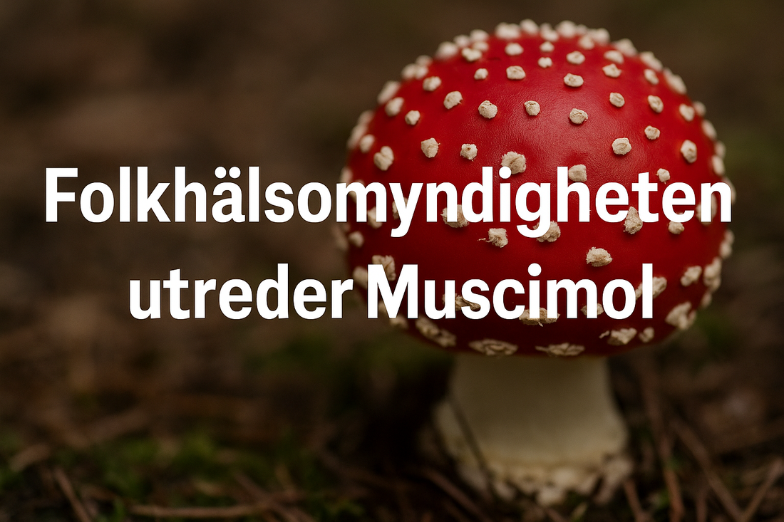 Folkhälsomyndigheten utreder Muscimol
