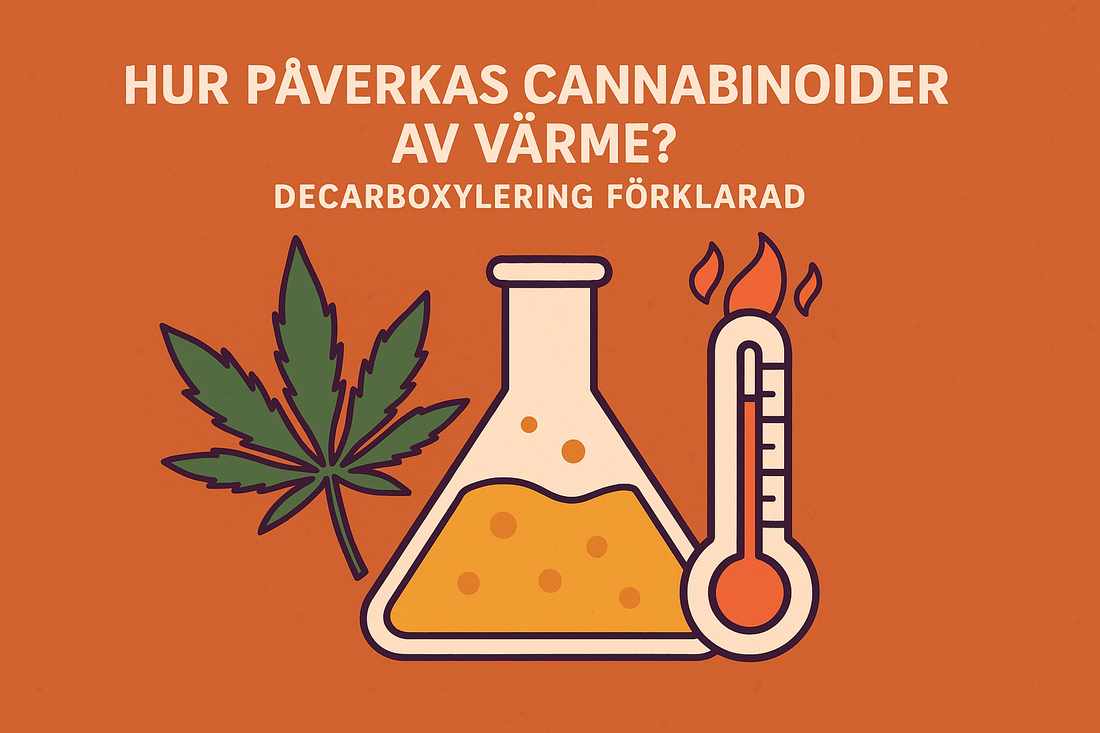 Hur påverkas cannabinoider av värme? Decarboxylering förklarad