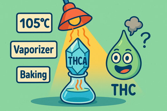 THCA Isolat – Användning, uppvärmning och effekter