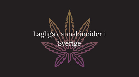 Lagliga cannabinoider i Sverige – Vilka är tillåtna 2025?