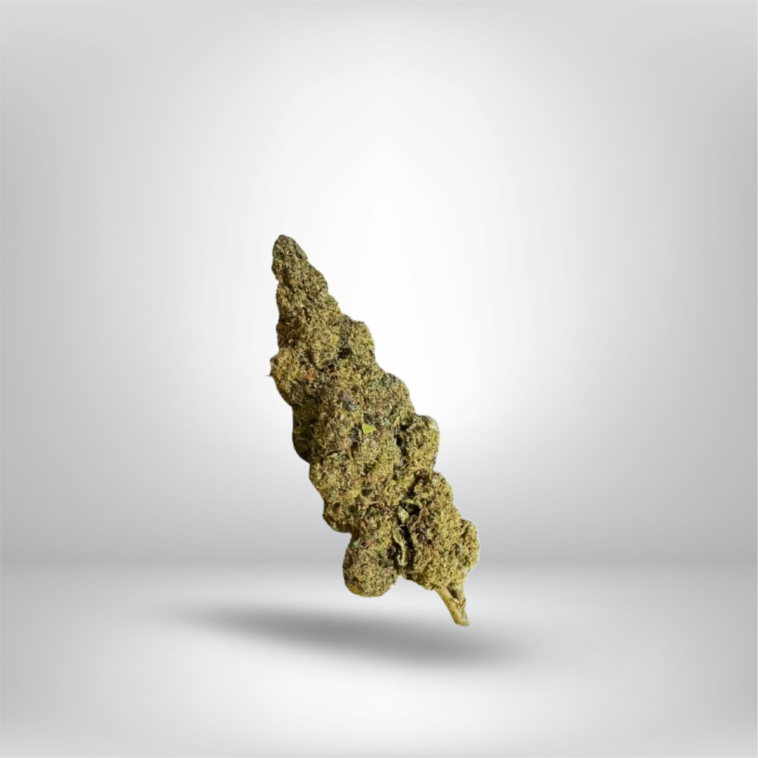 THCA Cali Infused Buds - Super Lemon Haze 5g 26%