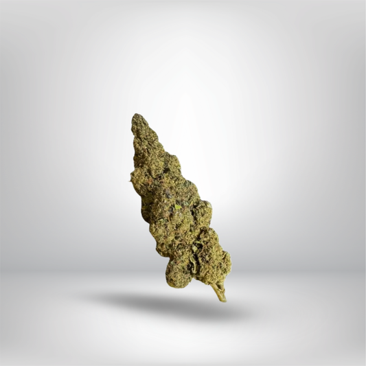 THCA Cali Infused Buds - Super Lemon Haze 5g 26%