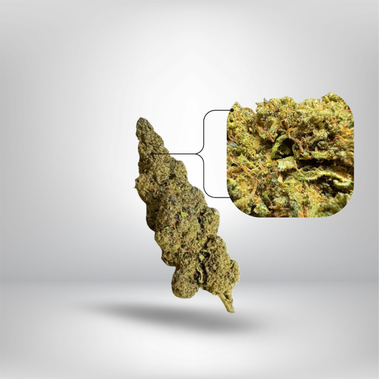 En närbild av Partybolagets Super Lemon Haze THCA 5g 26% Cali Infused Buds (Flower) på en ljusgrå bakgrund, med en infälld bild som framhäver den detaljerade strukturen och trikomerna hos dessa premium cannabisknoppar.