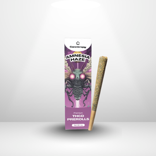 Pre-rolls THCD - Amnesia Haze 10% 1g