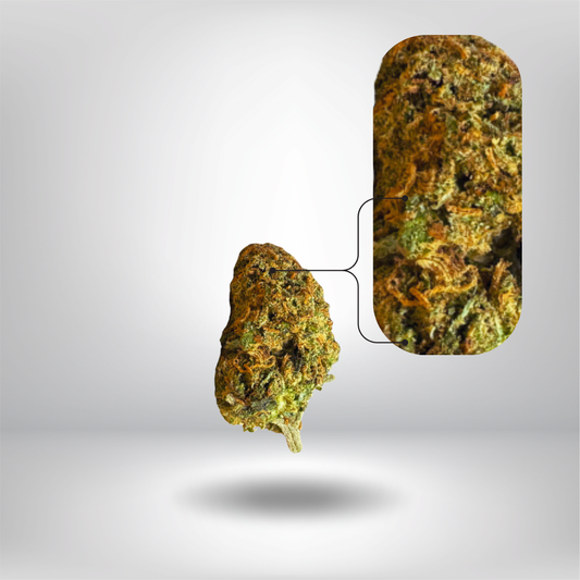 En enstaka Partybolaget Pineapple Express THCA 5g 26% Cali Infused Bud flyter över en mjuk skugga, med en närbild som framhäver dess premium hampa textur och livfulla trichomes på en ljusgrå gradient bakgrund.